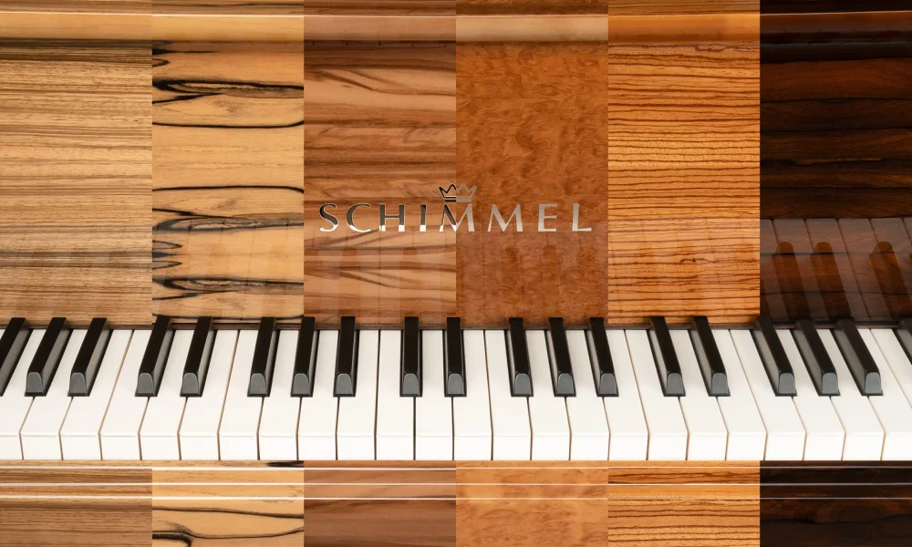 Schimmel piano store Calgary